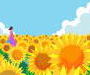 summer summer