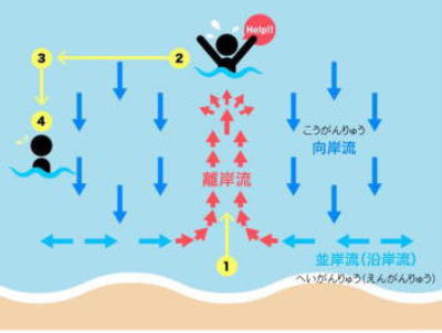 海のお話