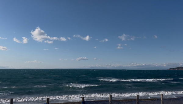 今日の使用コンディション 館山