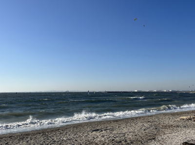 検見川の浜　南西